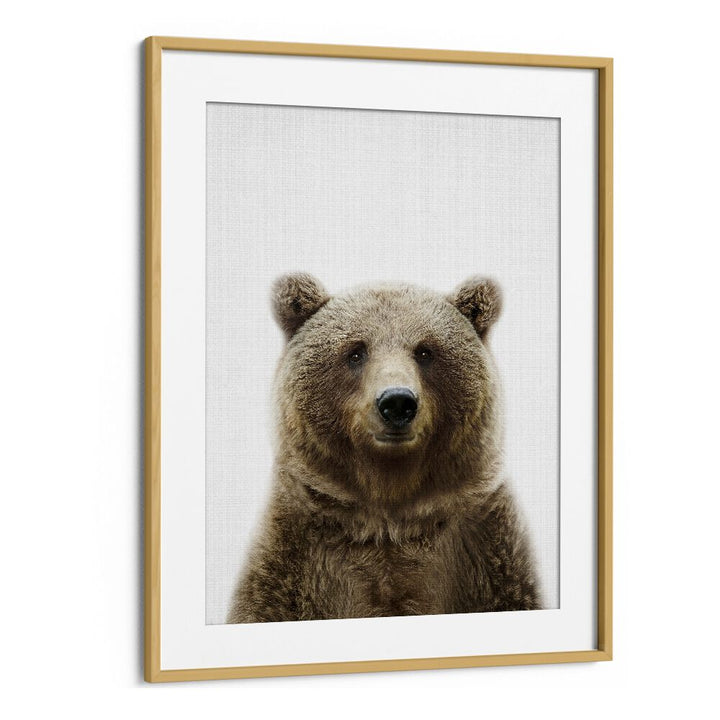 Peekaboo Bear By Lola Peacock Kids Room Paintings in Oak Wood Frame With Mount