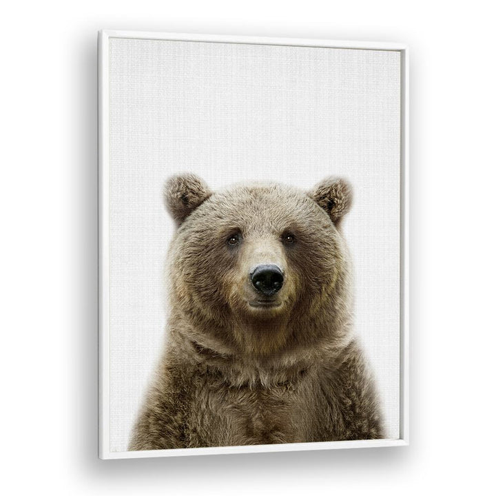 Peekaboo Bear By Lola Peacock Kids Room Paintings in White Plain Frame