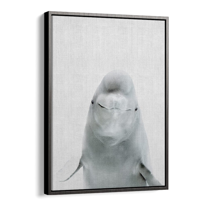 Peekaboo Belugawhale By Lola Peacock Kids Room Paintings in Black Floater Frame