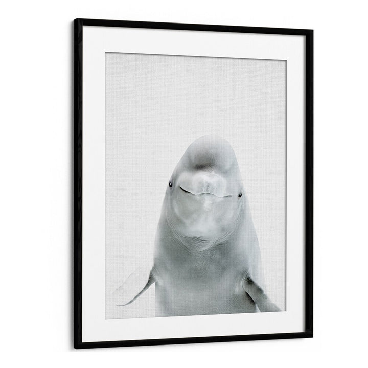 Peekaboo Belugawhale By Lola Peacock Kids Room Paintings in Black Frame With Mount