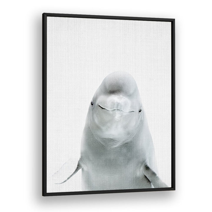 Peekaboo Belugawhale By Lola Peacock Kids Room Paintings in Black Plain Frame