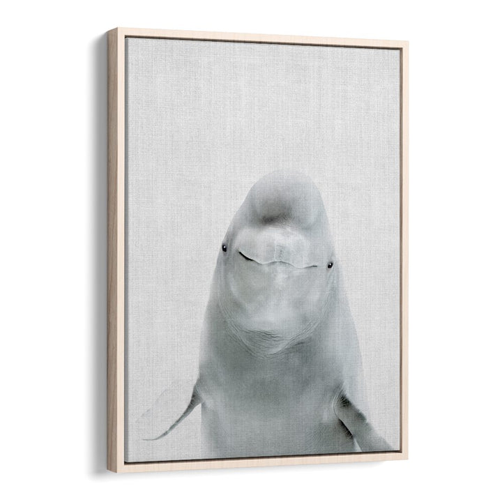 Peekaboo Belugawhale By Lola Peacock Kids Room Paintings in Oak Wood Floater Frame