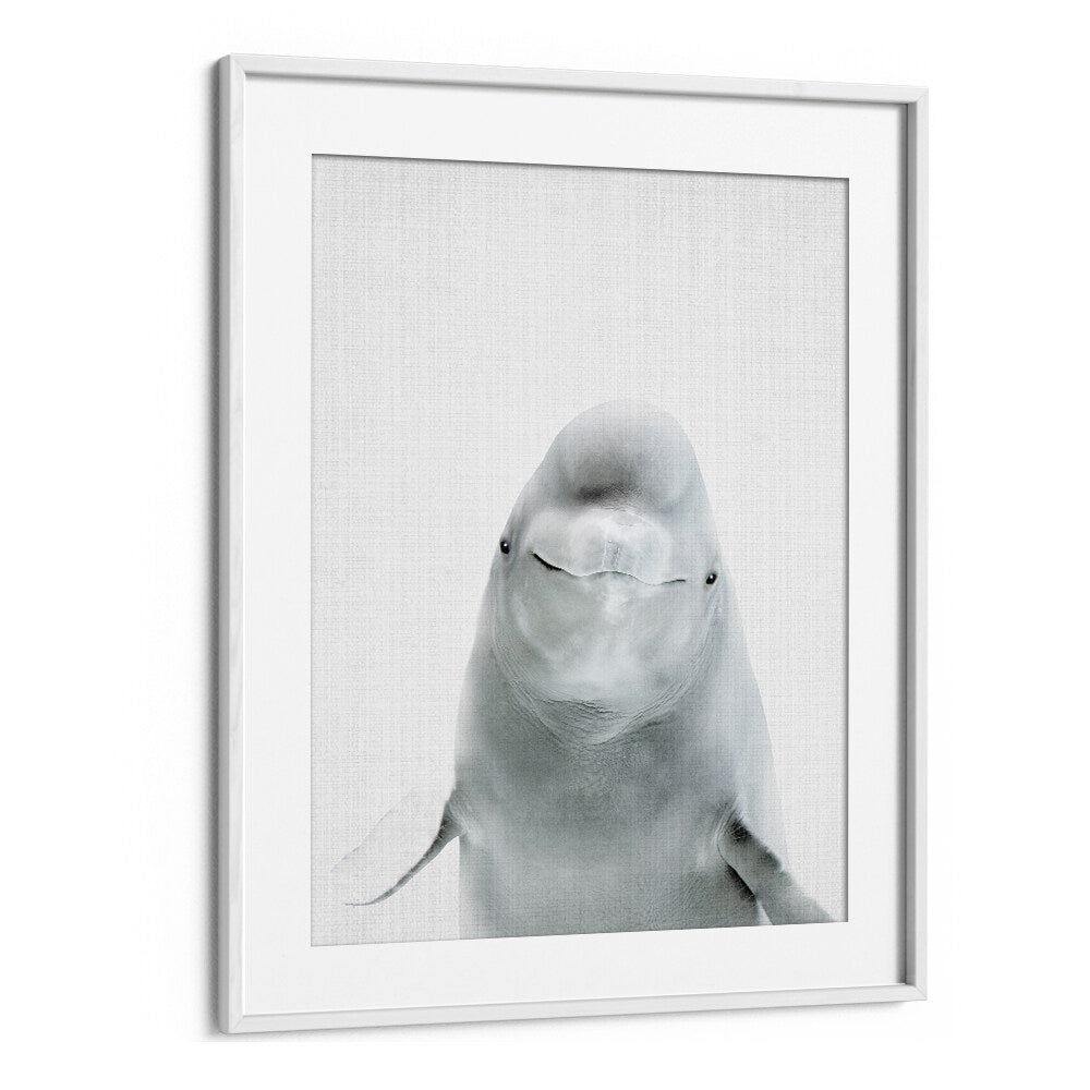 Peekaboo Belugawhale By Lola Peacock Kids Room Paintings in White Frame With Mount