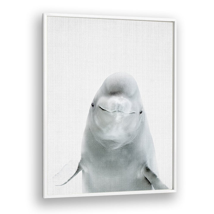 Peekaboo Belugawhale By Lola Peacock Kids Room Paintings in White Plain Frame