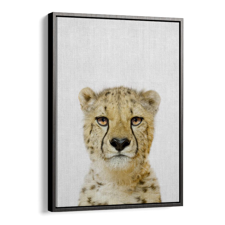 Peekaboo Cheetah By Lola Peacock Kids Room Paintings in Black Floater Frame