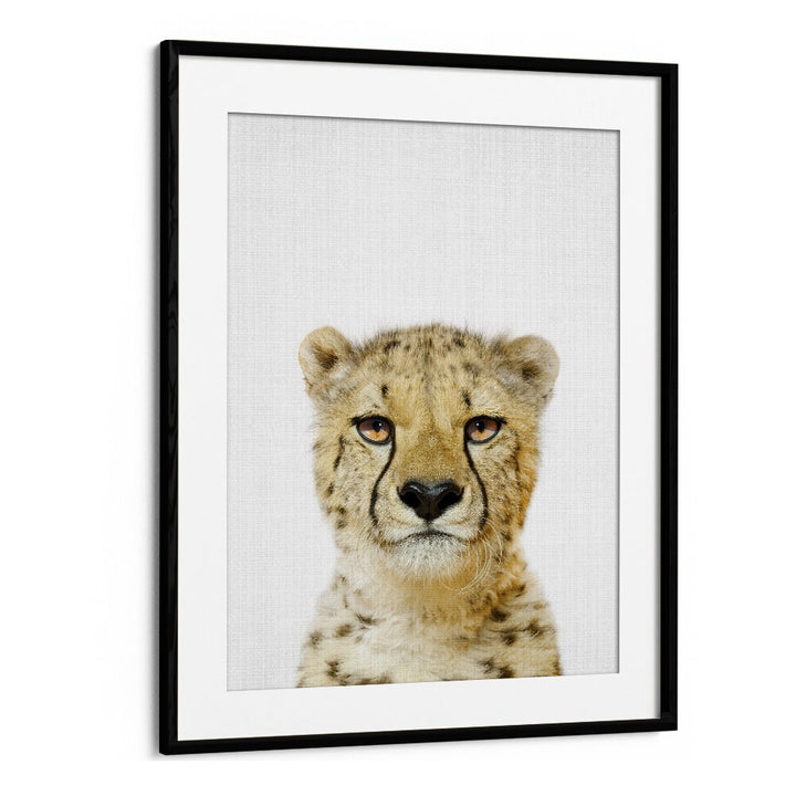 Peekaboo Cheetah By Lola Peacock Kids Room Paintings in Black Frame With Mount