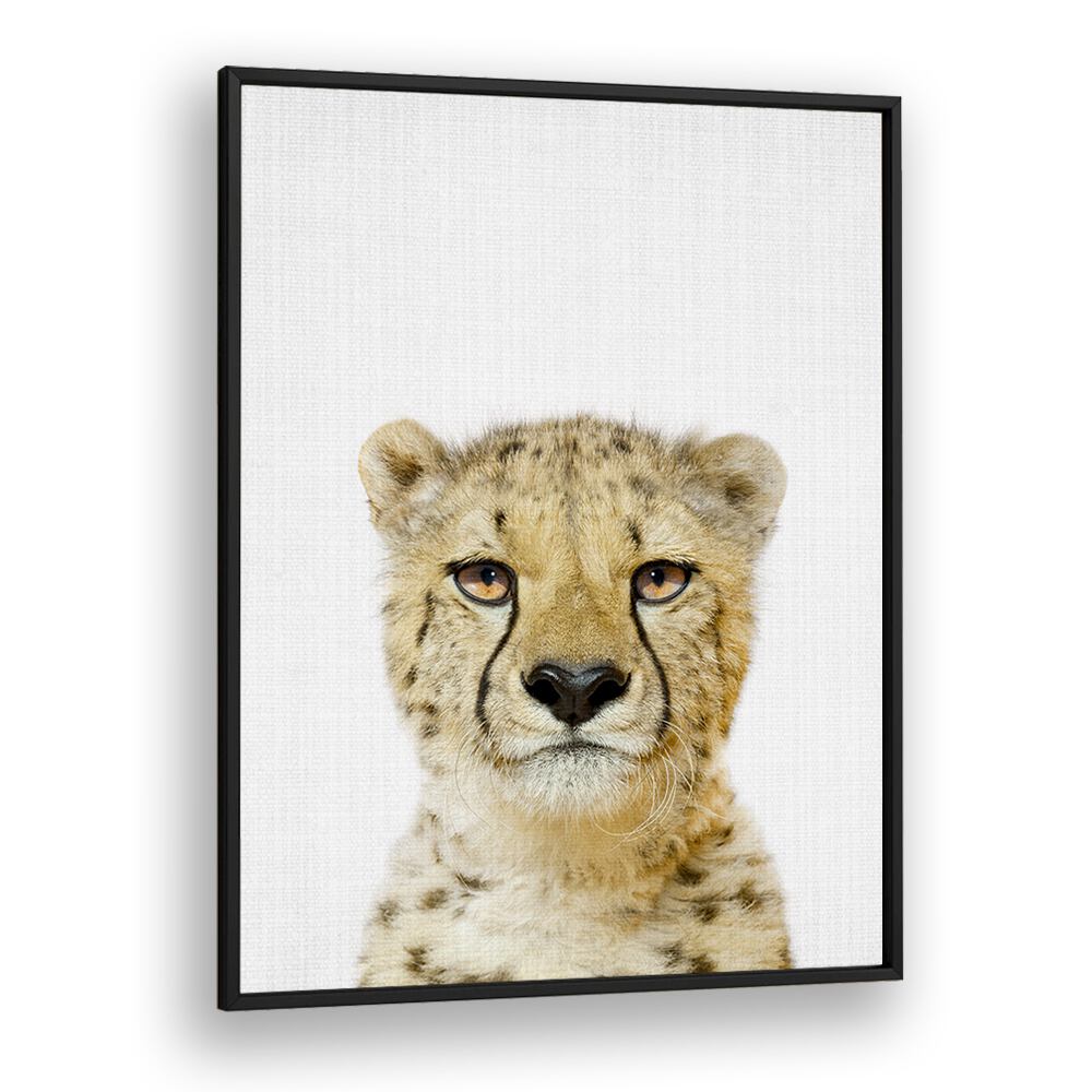 Peekaboo Cheetah By Lola Peacock Kids Room Paintings in Black Plain Frame