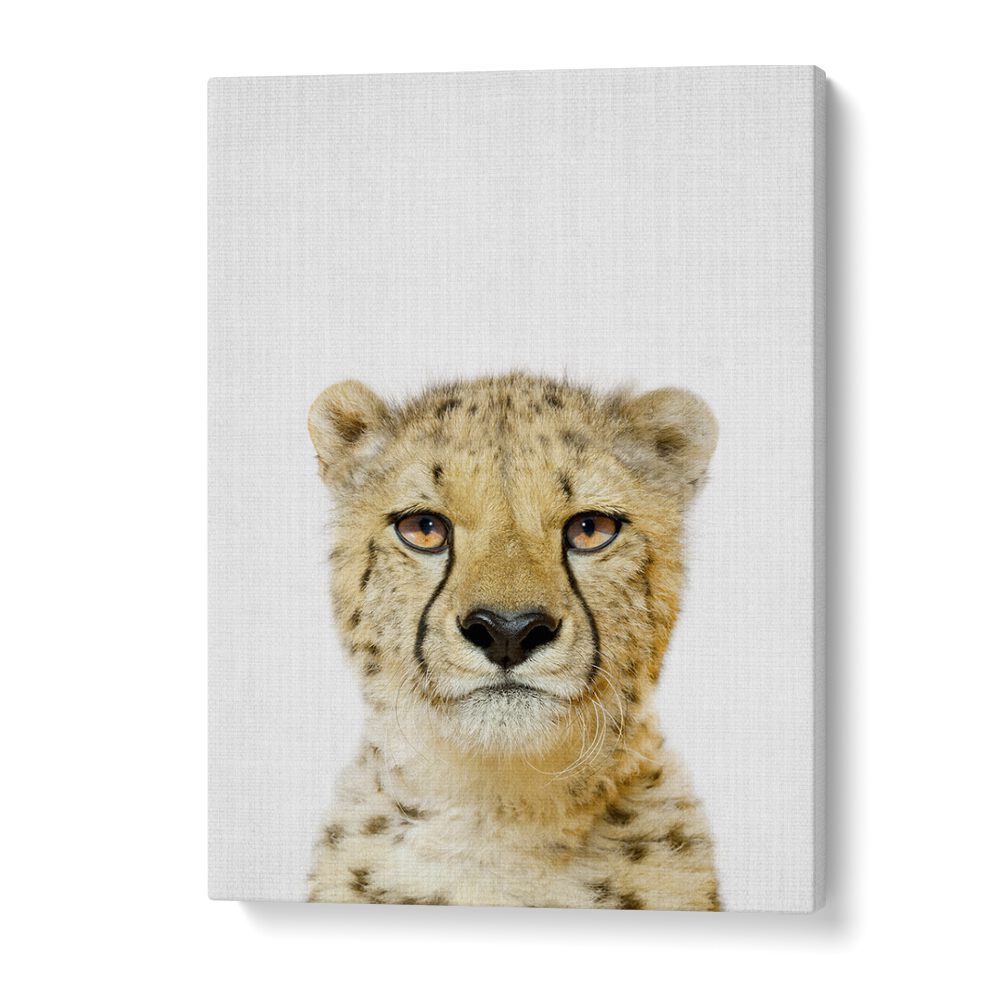 Peekaboo Cheetah By Lola Peacock Kids Room Paintings in Gallery Wrap