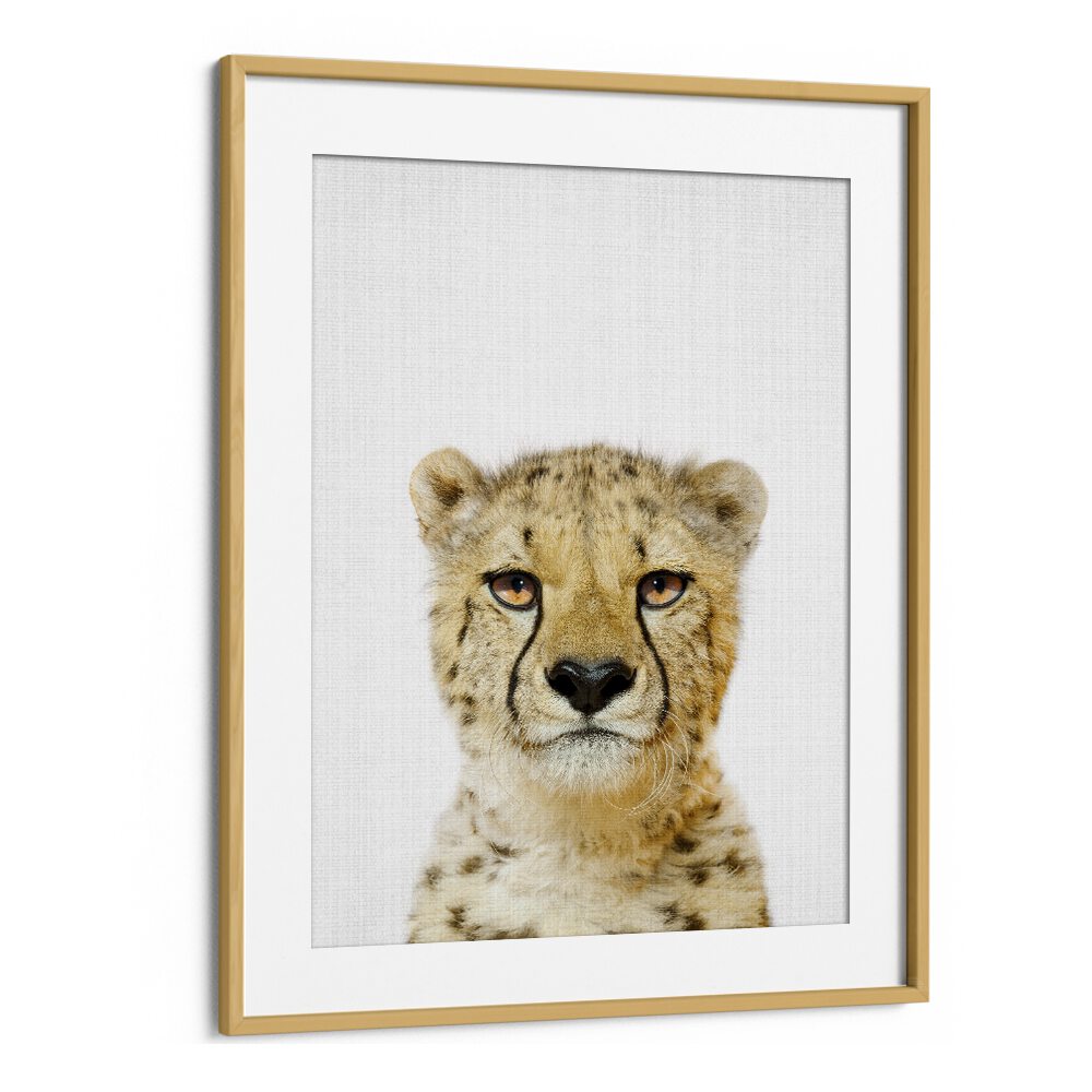 Peekaboo Cheetah By Lola Peacock Kids Room Paintings in Oak Wood Frame With Mount