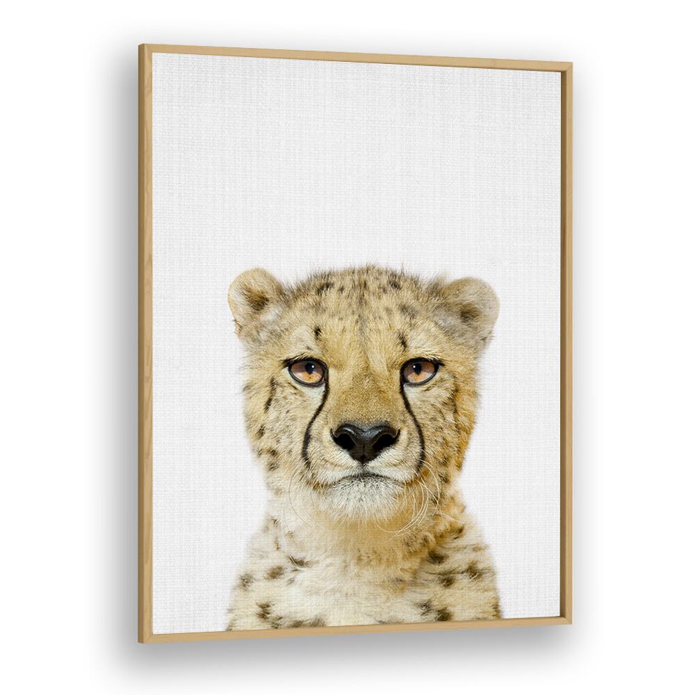 Peekaboo Cheetah By Lola Peacock Kids Room Paintings in Oak Wood Plain Frame