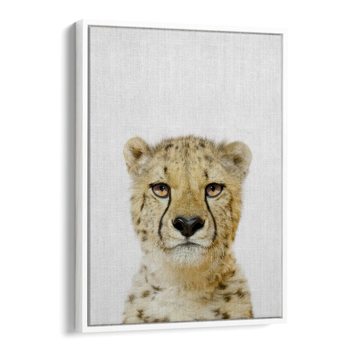 Peekaboo Cheetah By Lola Peacock Kids Room Paintings in White Floater Frame