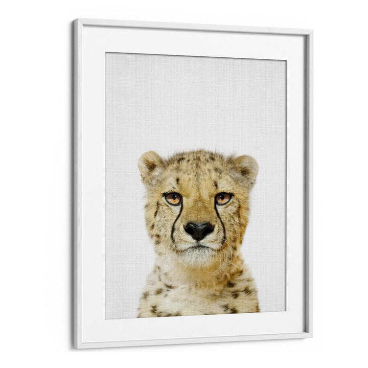 Peekaboo Cheetah By Lola Peacock Kids Room Paintings in White Frame With Mount