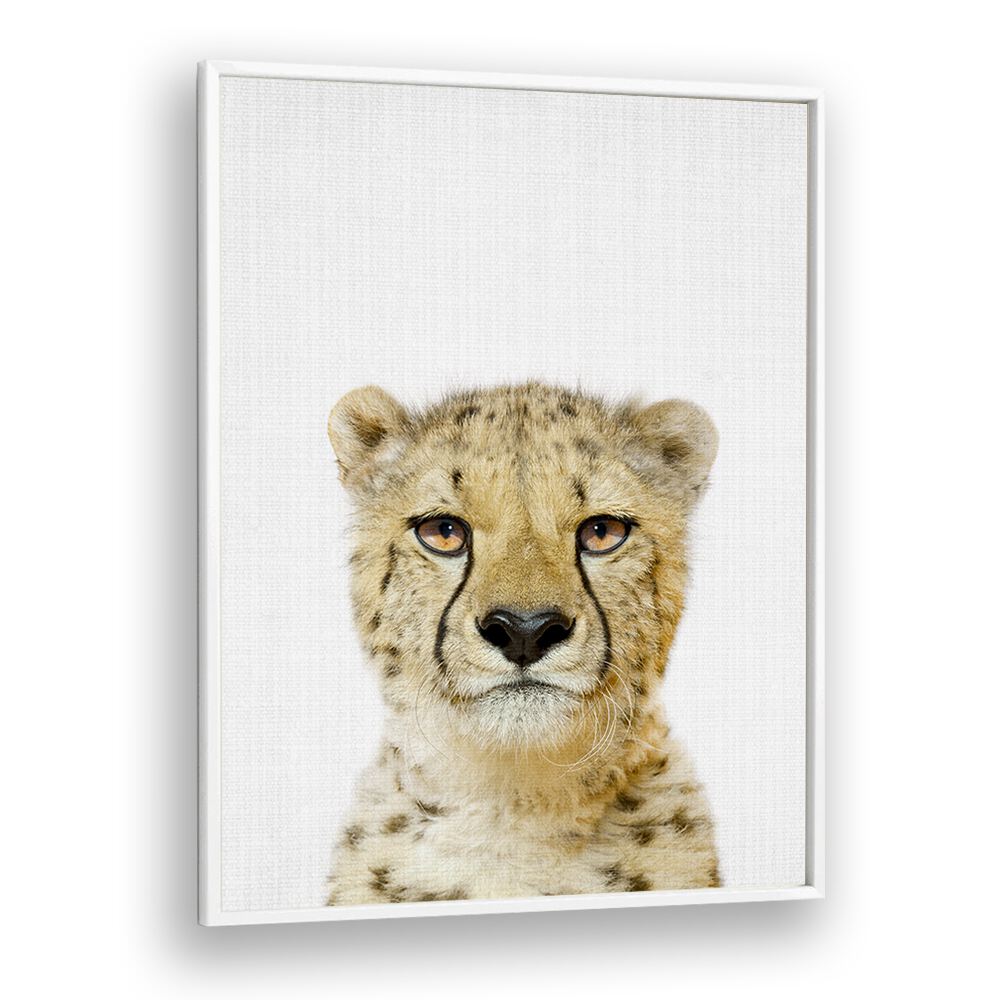 Peekaboo Cheetah By Lola Peacock Kids Room Paintings in White Plain Frame