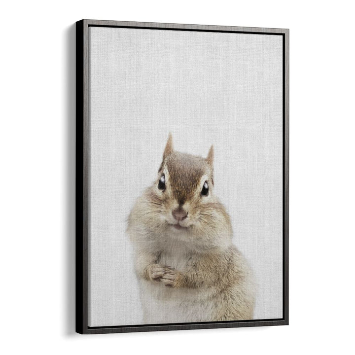 Peekaboo Chipmunk By Lola Peacock Kids Room Paintings in Black Floater Frame