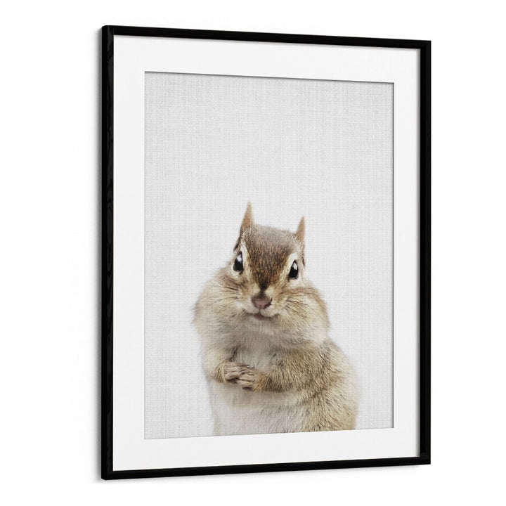 Peekaboo Chipmunk By Lola Peacock Kids Room Paintings in Black Frame With Mount