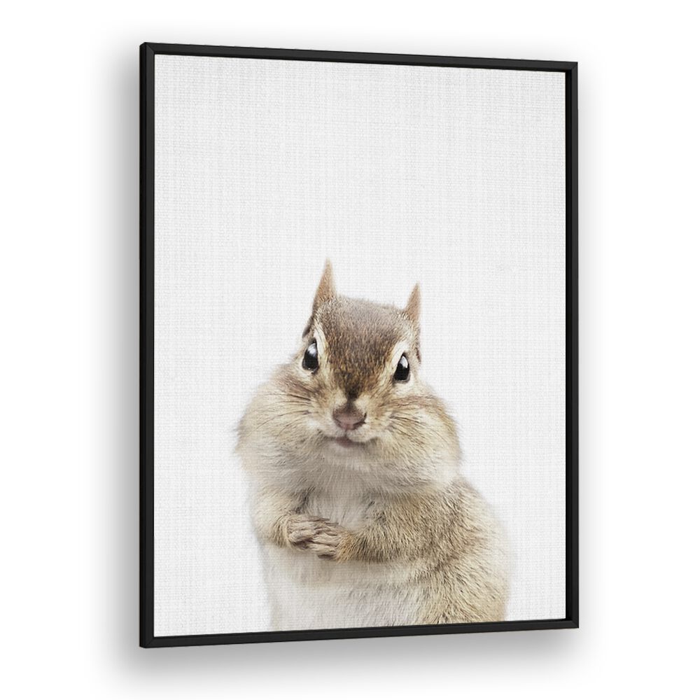 Peekaboo Chipmunk By Lola Peacock Kids Room Paintings in Black Plain Frame