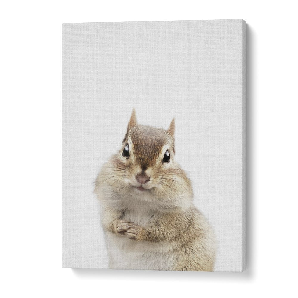 Peekaboo Chipmunk By Lola Peacock Kids Room Paintings in Gallery Wrap