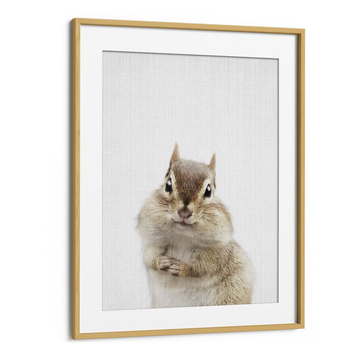 Peekaboo Chipmunk By Lola Peacock Kids Room Paintings in Oak Wood Frame With Mount