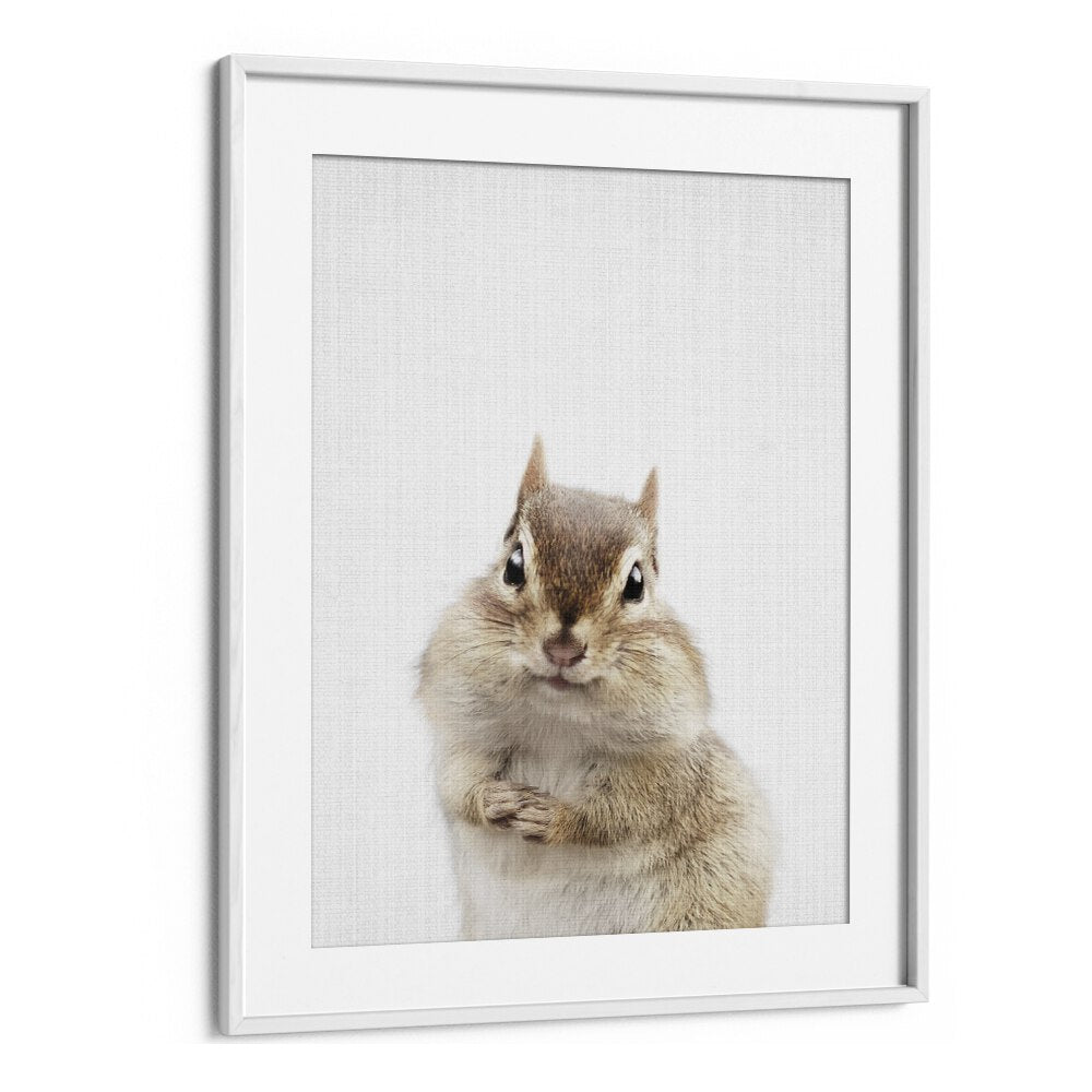 Peekaboo Chipmunk By Lola Peacock Kids Room Paintings in White Frame With Mount