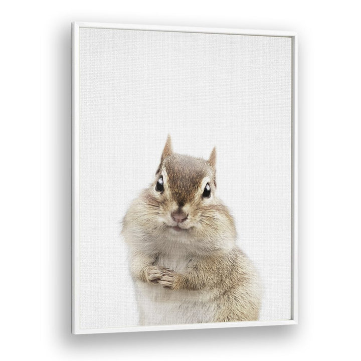 Peekaboo Chipmunk By Lola Peacock Kids Room Paintings in White Plain Frame