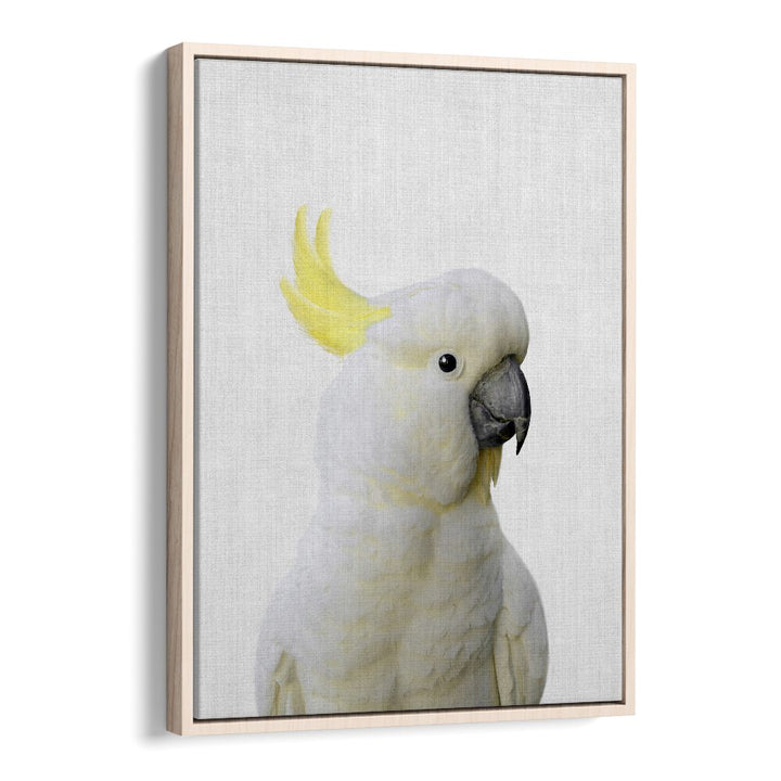 Peekaboo Cockatoo By Lola Peacock Kids Room Paintings in Oak Wood Floater Frame