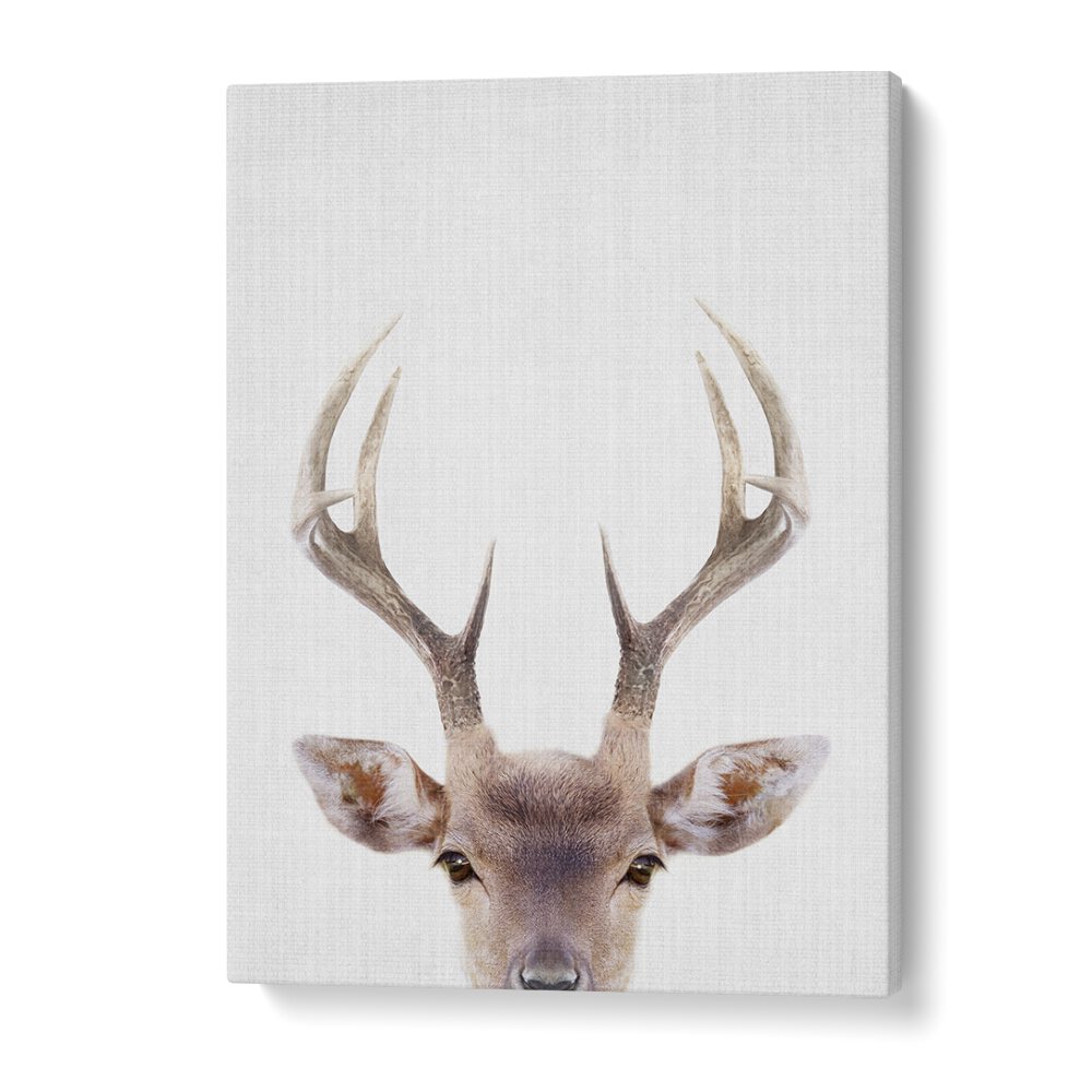 Peekaboo Deer By Lola Peacock Kids Room Paintings in Gallery Wrap