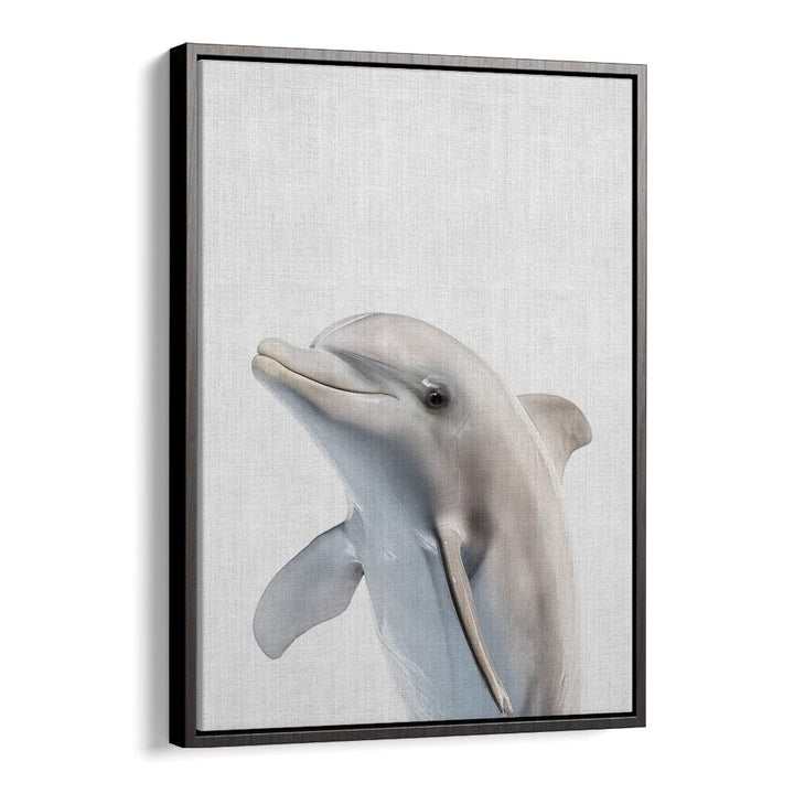 Peekaboo Dolphin By Lola Peacock Kids Room Paintings in Black Floater Frame