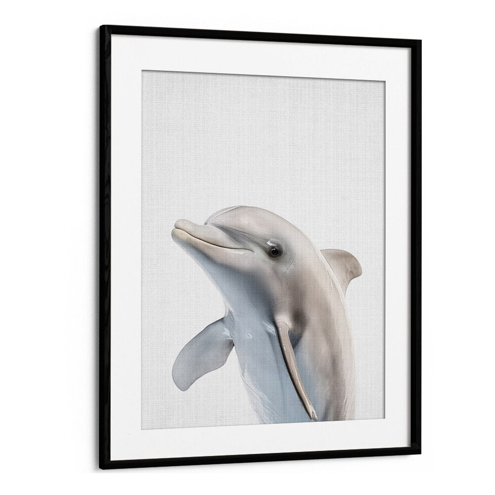 Peekaboo Dolphin By Lola Peacock Kids Room Paintings in Black Frame With Mount