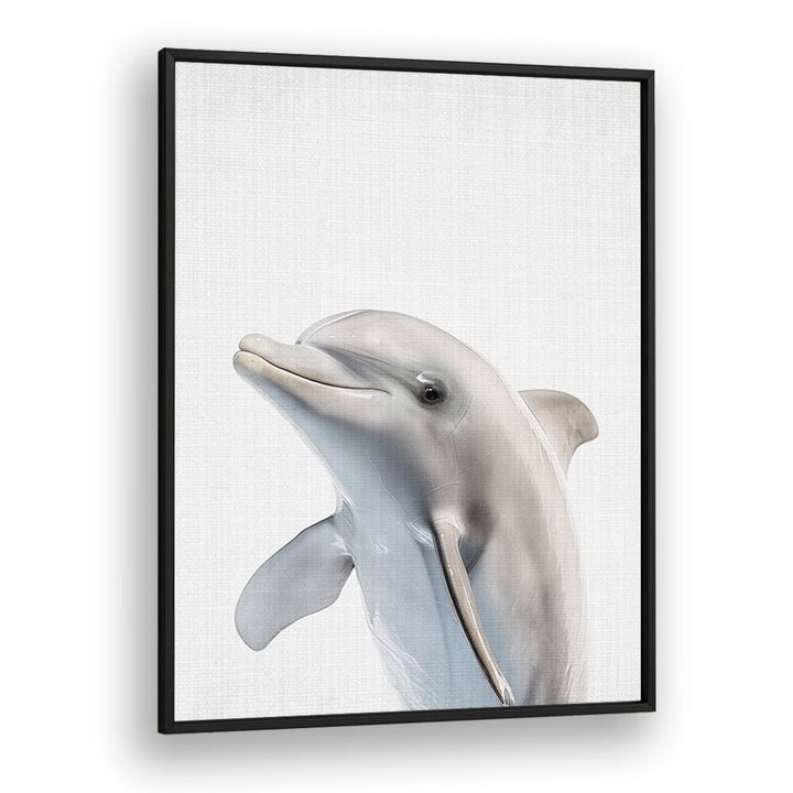 Peekaboo Dolphin By Lola Peacock Kids Room Paintings in Black Plain Frame