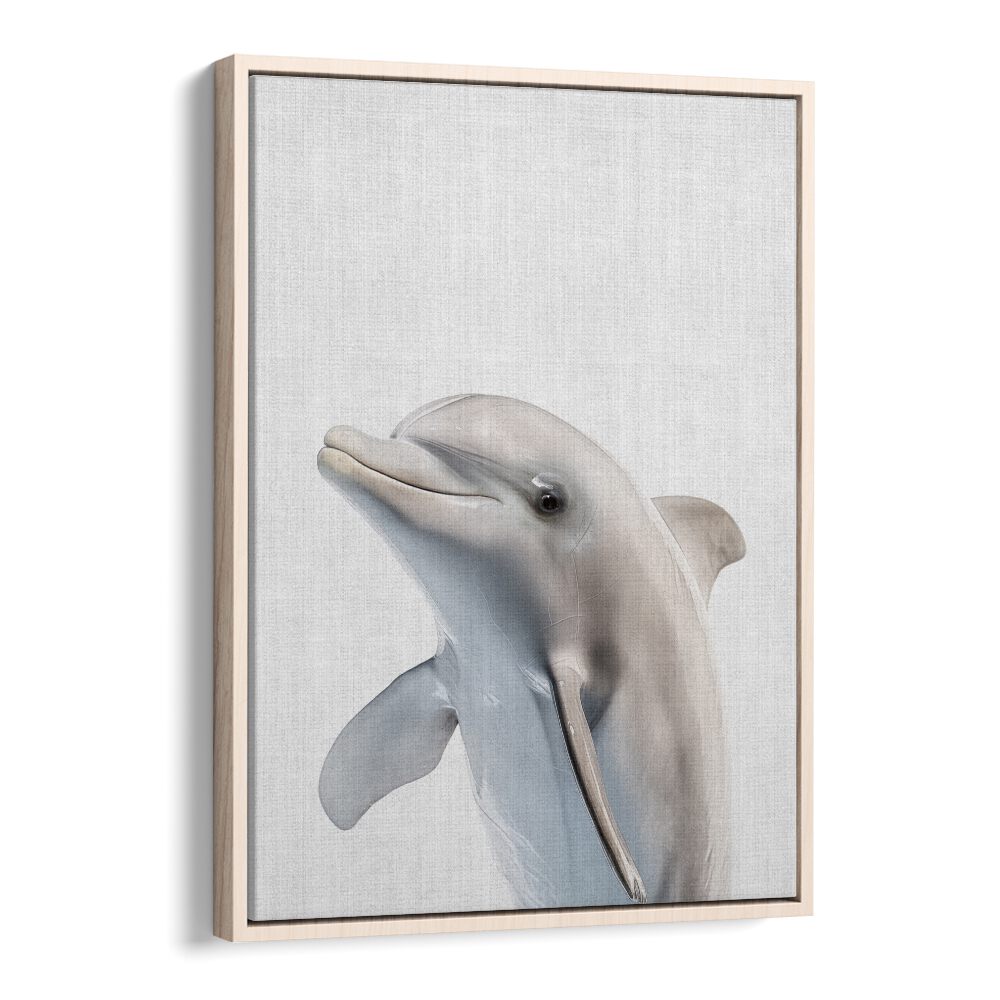 Peekaboo Dolphin By Lola Peacock Kids Room Paintings in Oak Wood Floater Frame