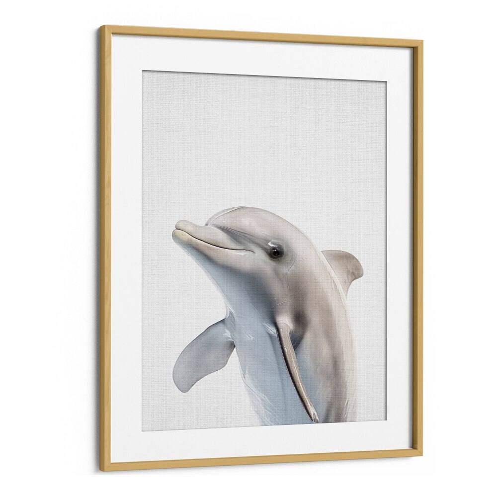 Peekaboo Dolphin By Lola Peacock Kids Room Paintings in Oak Wood Frame With Mount