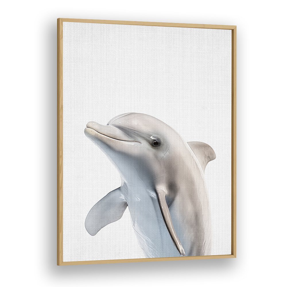 Peekaboo Dolphin By Lola Peacock Kids Room Paintings in Oak Wood Plain Frame