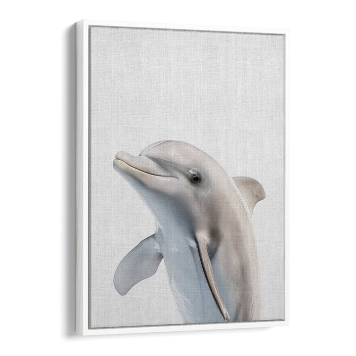 Peekaboo Dolphin By Lola Peacock Kids Room Paintings in White Floater Frame