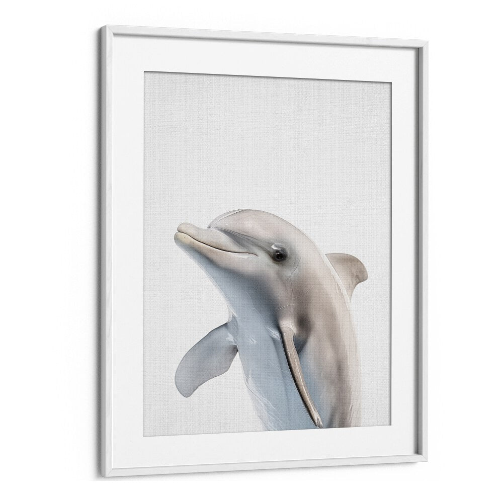 Peekaboo Dolphin By Lola Peacock Kids Room Paintings in White Frame With Mount