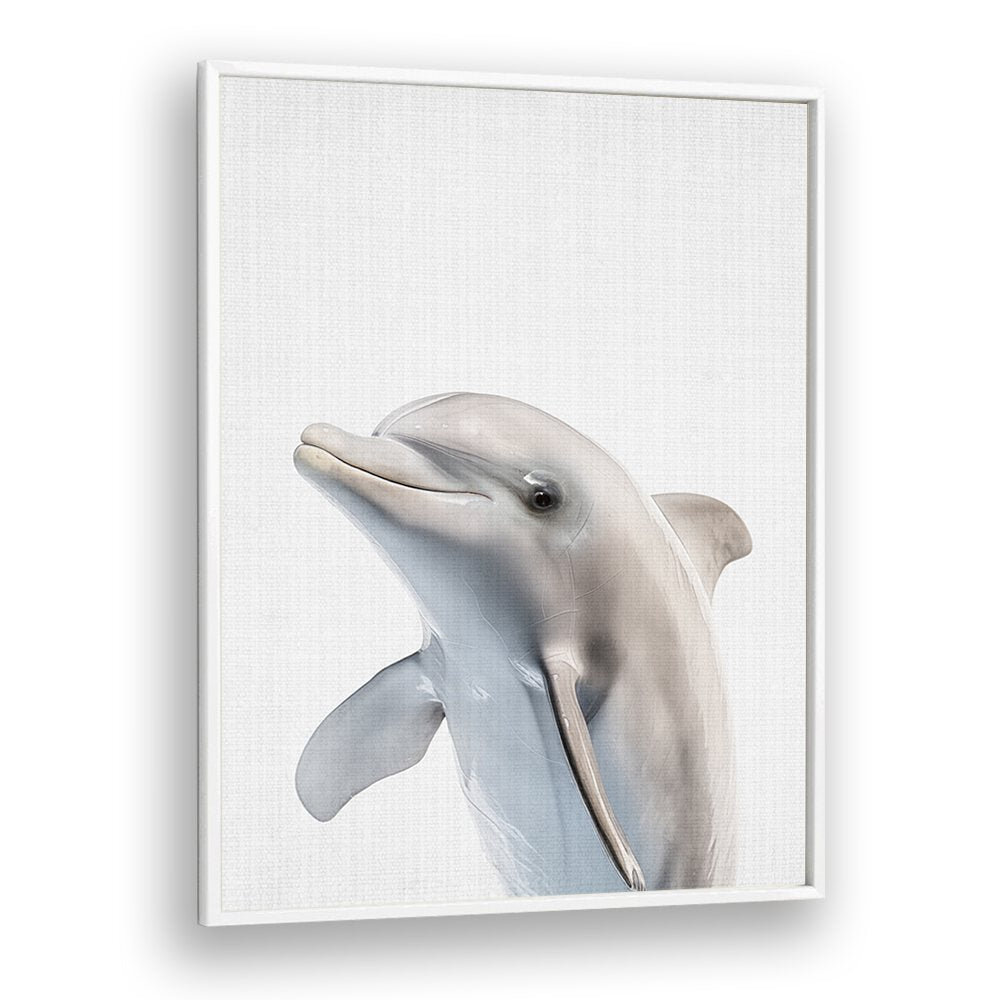 Peekaboo Dolphin By Lola Peacock Kids Room Paintings in White Plain Frame