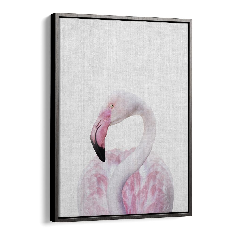 Peekaboo Flamingo By Lola Peacock Kids Room Paintings in Black Floater Frame