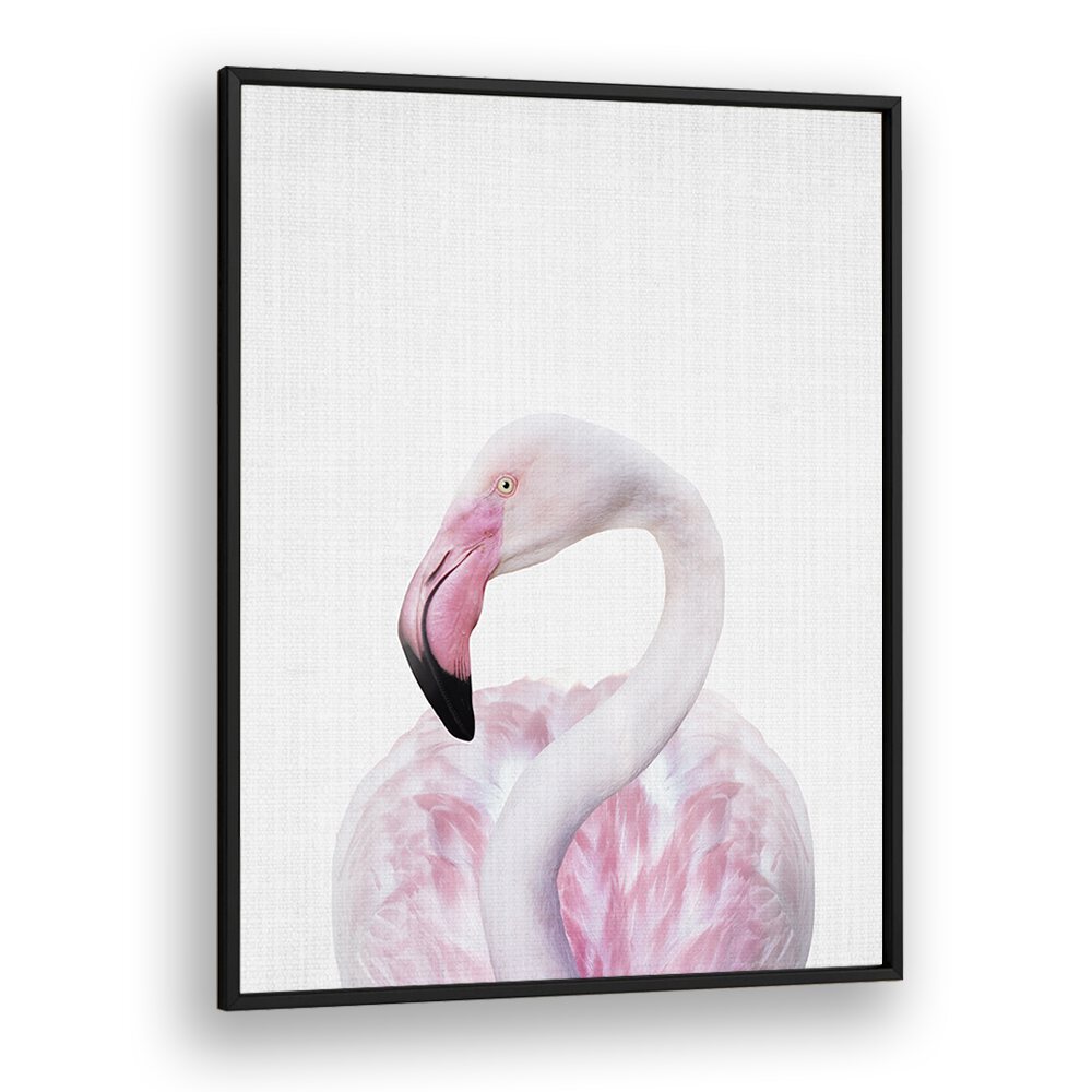 Peekaboo Flamingo By Lola Peacock Kids Room Paintings in Black Plain Frame