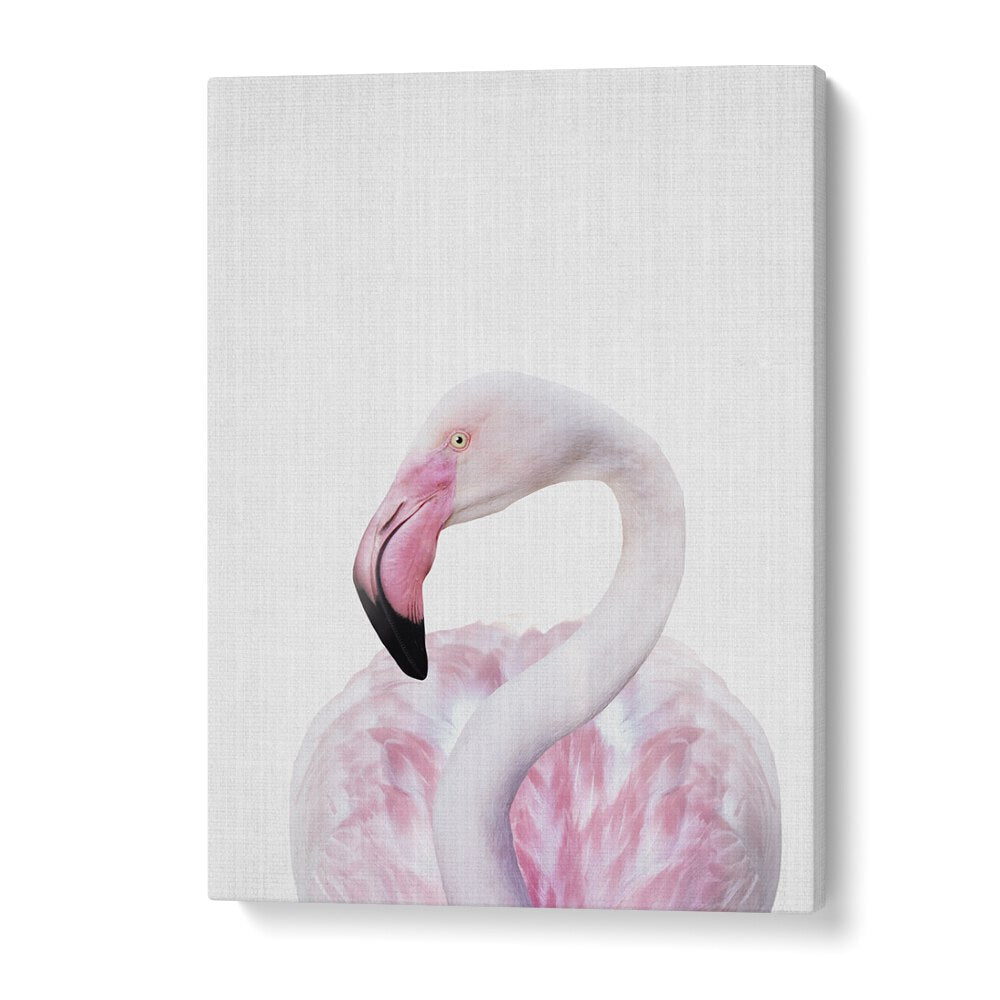 Peekaboo Flamingo By Lola Peacock Kids Room Paintings in Gallery Wrap