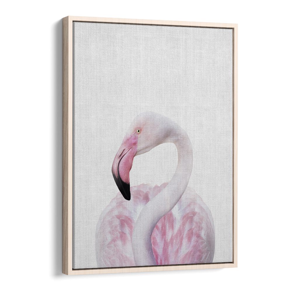 Peekaboo Flamingo By Lola Peacock Kids Room Paintings in Oak Wood Floater Frame