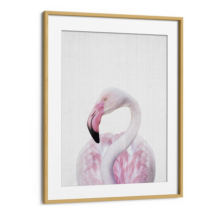 Peekaboo Flamingo By Lola Peacock Kids Room Paintings in Oak Wood Frame With Mount