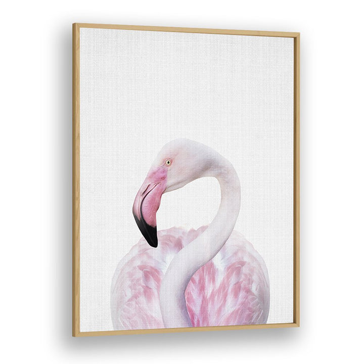 Peekaboo Flamingo By Lola Peacock Kids Room Paintings in Oak Wood Plain Frame