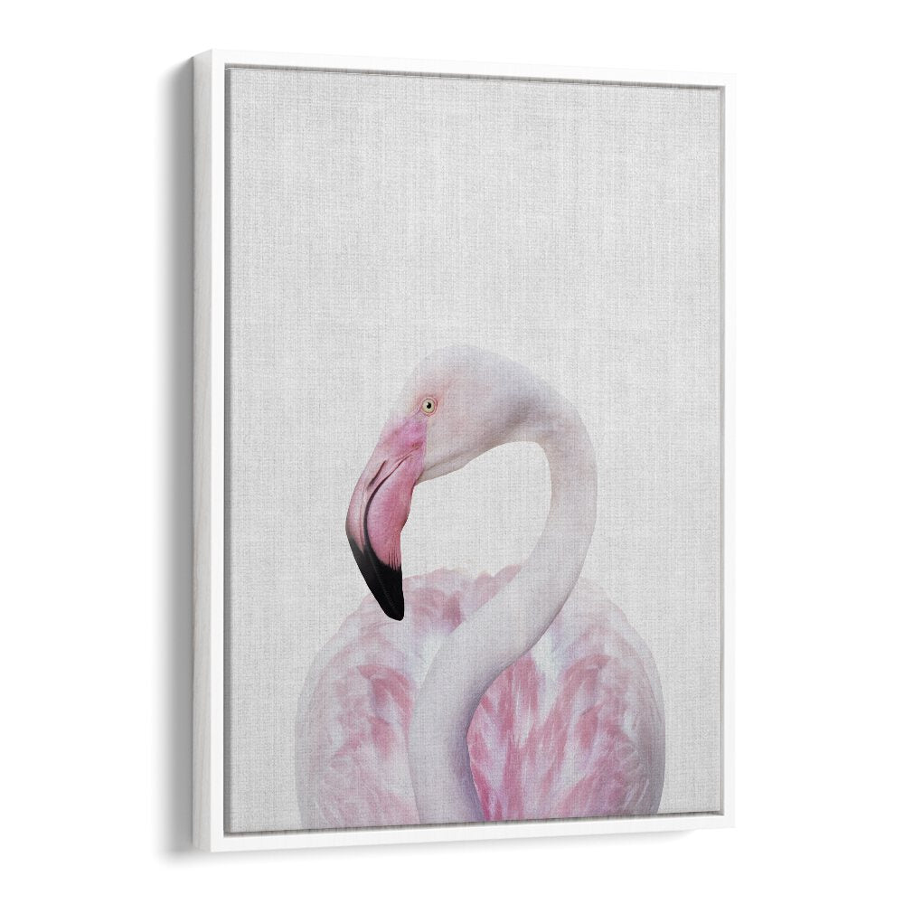 Peekaboo Flamingo By Lola Peacock Kids Room Paintings in White Floater Frame