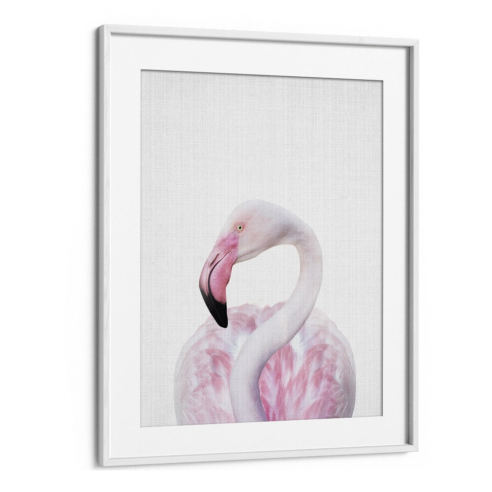 Peekaboo Flamingo By Lola Peacock Kids Room Paintings in White Frame With Mount