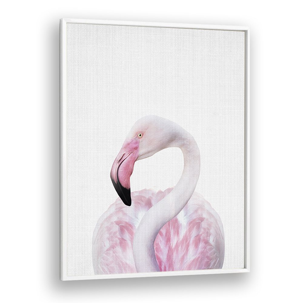 Peekaboo Flamingo By Lola Peacock Kids Room Paintings in White Plain Frame