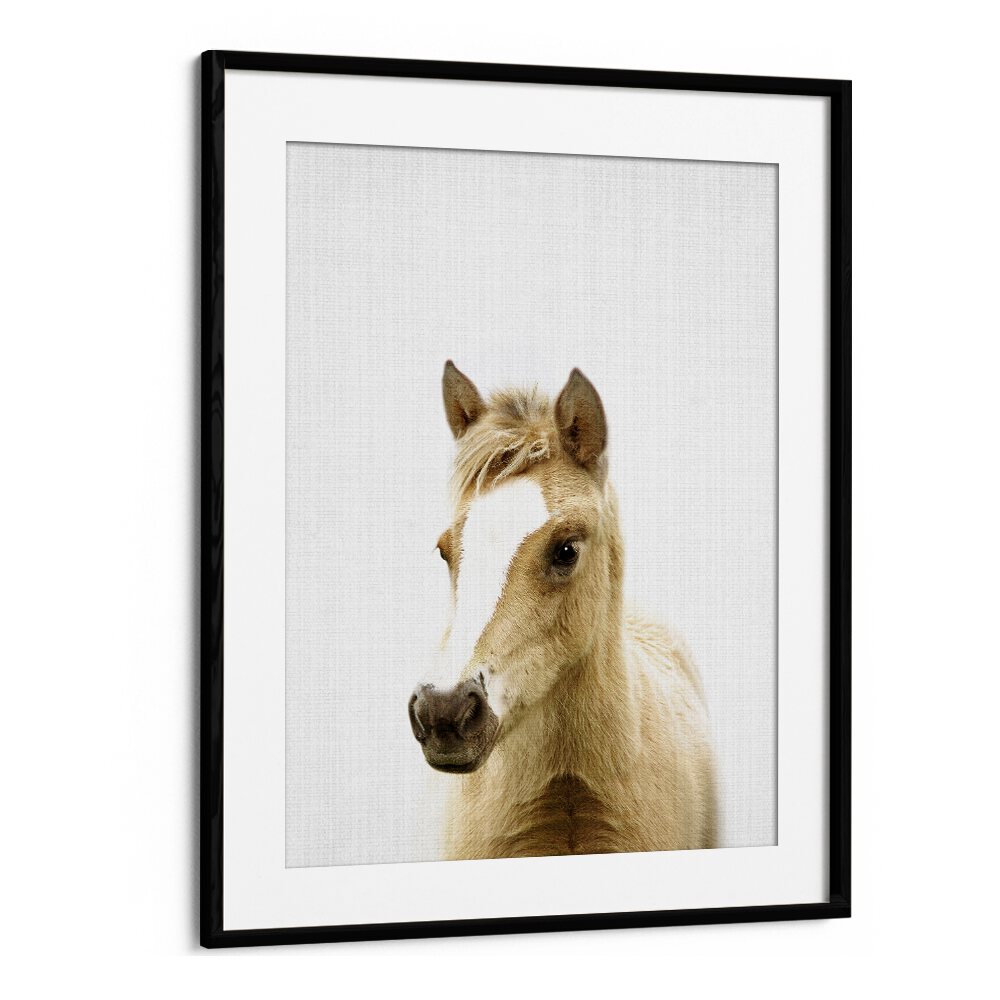 Peekaboo Foal By Lola Peacock Kids Room Paintings in Black Frame With Mount