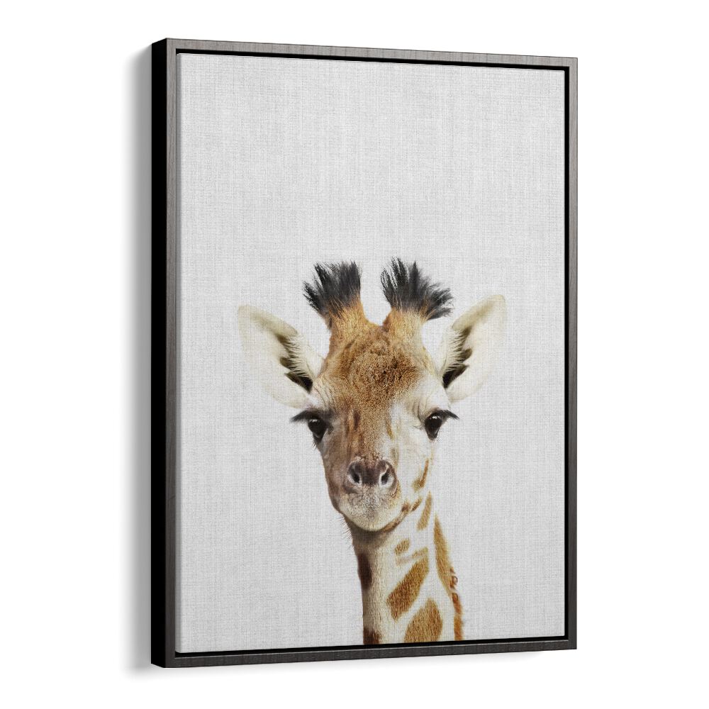 Peekaboo Giraffe By Lola Peacock Kids Room Paintings in Black Floater Frame