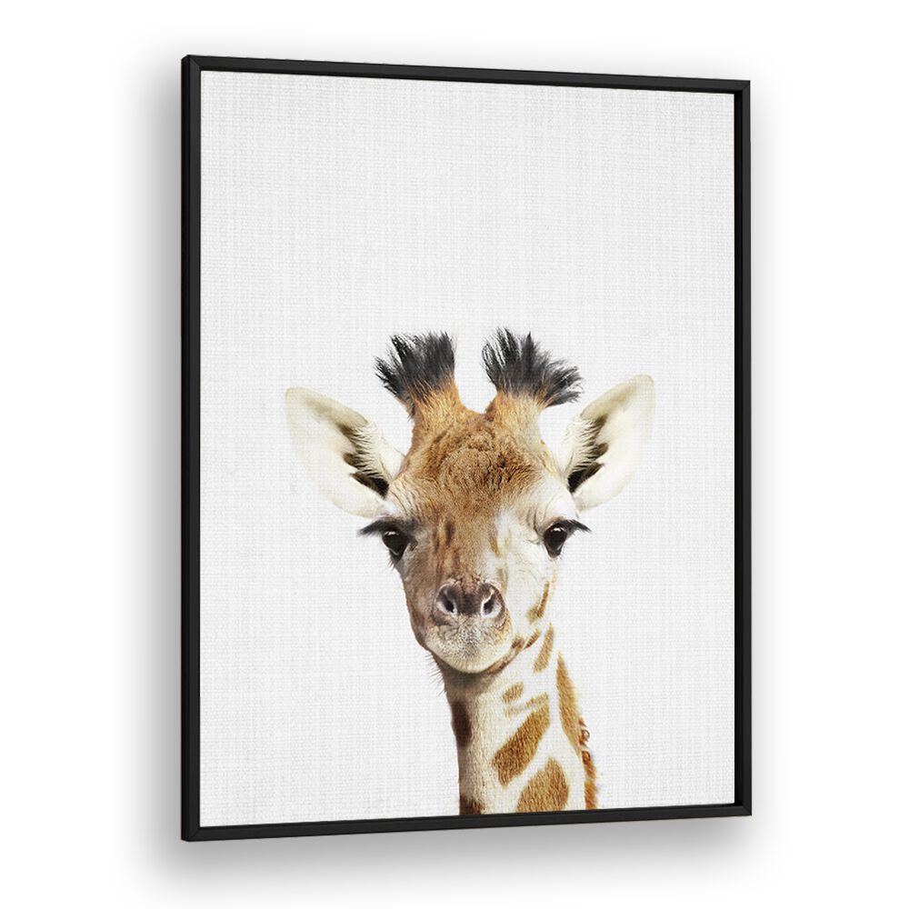 Peekaboo Giraffe By Lola Peacock Kids Room Paintings in Black Plain Frame