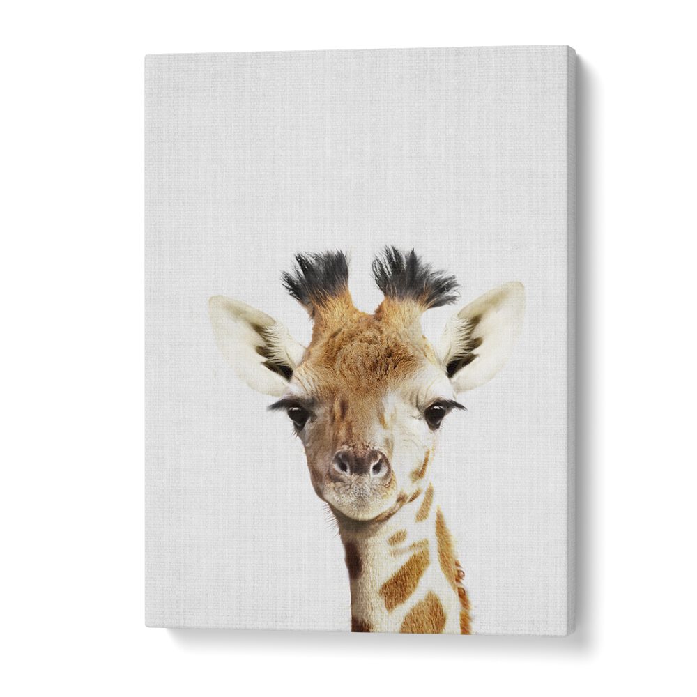 Peekaboo Giraffe By Lola Peacock Kids Room Paintings in Gallery Wrap