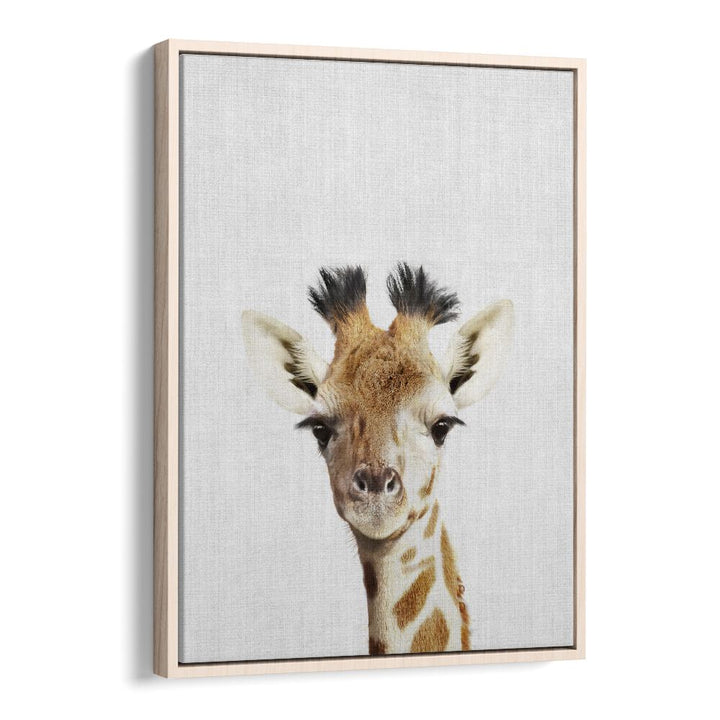 Peekaboo Giraffe By Lola Peacock Kids Room Paintings in Oak Wood Floater Frame