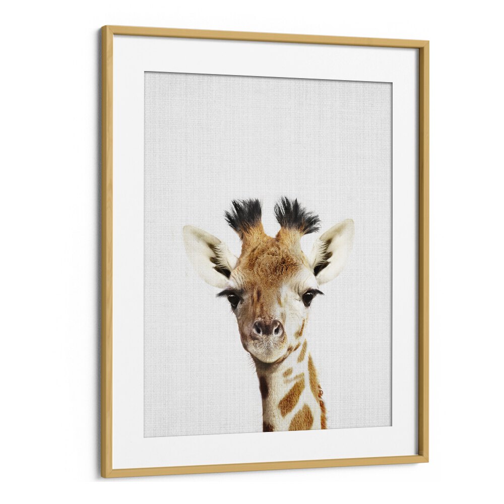 Peekaboo Giraffe By Lola Peacock Kids Room Paintings in Oak Wood Frame With Mount